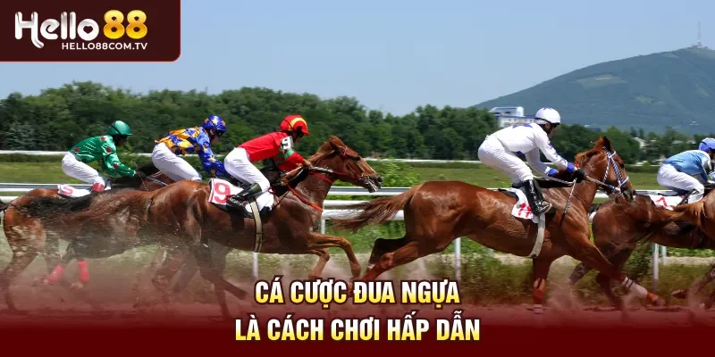 Cá cược đua ngựa là cách chơi hấp dẫn