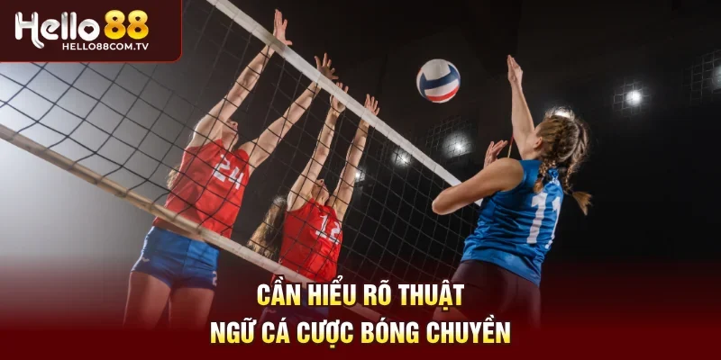 Cần hiểu rõ thuật ngữ cá cược bóng chuyền
