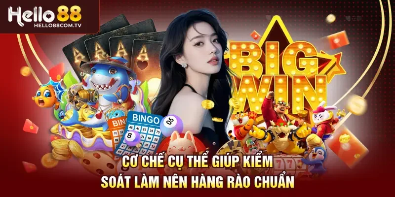 Cơ chế cụ thể giúp kiểm soát làm nên hàng rào chuẩn
